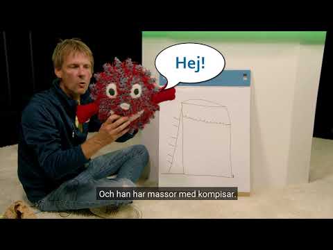 Undervisningsfilm om miljö för skolelever i lågstadiet