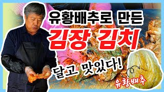 유황배추로 김장김치 담아봤습니다. 맛이 확실히 다르네요