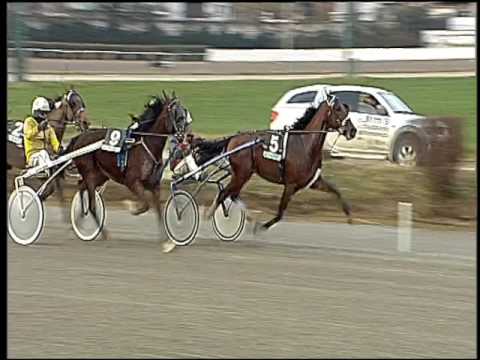 Trotto 20/12/2016 - 1ª corsa