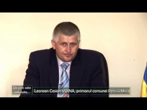 De prin sate adunate - Pestisu Mic - 4 august 2013