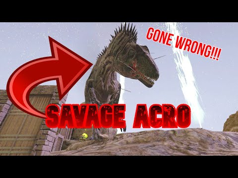 SAVAGE ACRO RAIDS OUR BASE!!Ark Survival Evolved