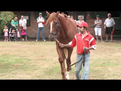 Open Day 2011 Lightinthenite.mov