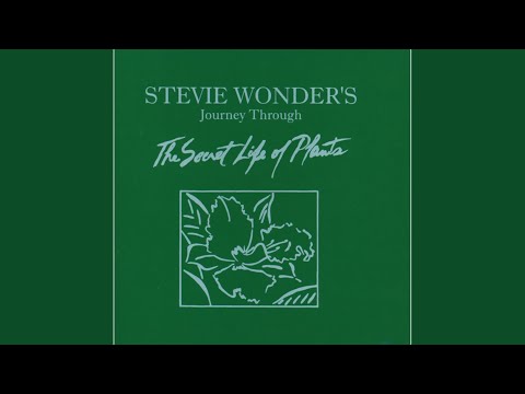 Video thumbnail for Venus' Flytrap and the Bug