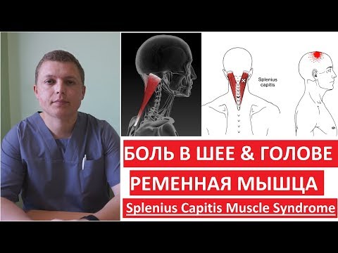 Подмор пчелиный лечение остеохондроз Боль в мышцах спины и ребер