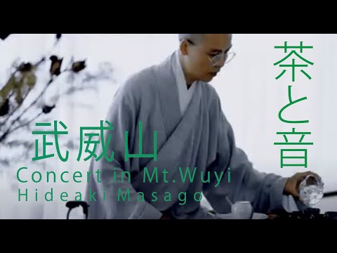 梧桐院