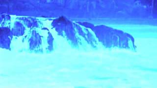 Cadillac - Endless Summer