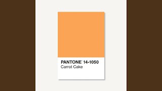 Carrot Cake Music Video