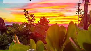 Download lagu story wa cokelat drama mp3 Download lagu story wa cokelat drama mp3