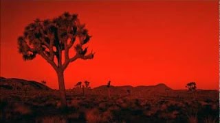 Desert Sessions - Crawl Home - Cover