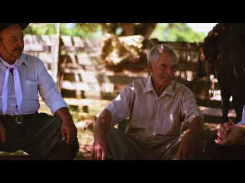 Mundeando - João Marcos Kelbouscas (CLIPE)