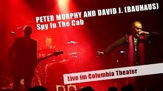 PETER MURPHY AND DAVID J. (BAUHAUS) - Spy In The Cab (Live)