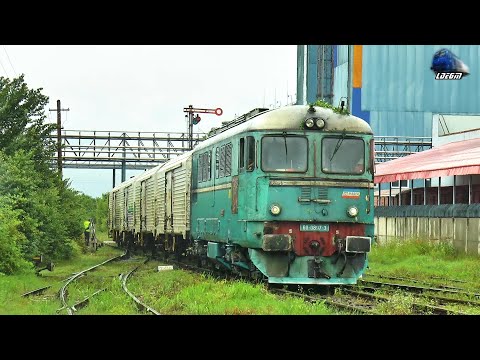 Fluieroasa 60-0897-3 Whistle Loko & Marfar CFR MARFA Freight Train în Gara Sudrigiu Station