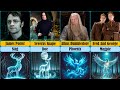 Harry Potter Characters Which Patronus Do They Have