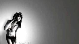 Vibekingz - She&#39;s like the Wind