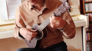 Piccolo Rag (Blind Boy Fuller)