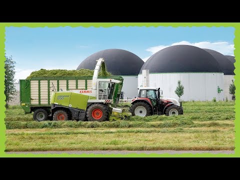 Carbon Neutralised Gas