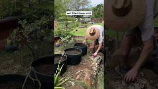 Moving a Literal TON of Dirt #shorts #gardening #hardwork #backyardgarden #soil #gardener #garden