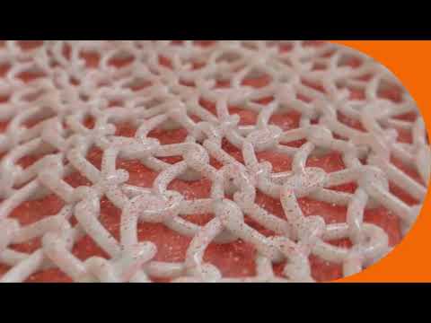 BD Phasix Mesh with P4HB Technology