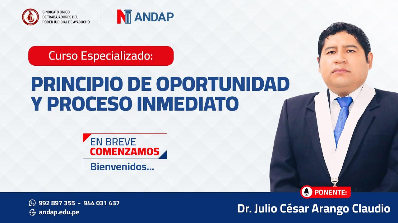 PRINCIPIO DE OPORTUNIDAD Y PROCESO INMEDIATO