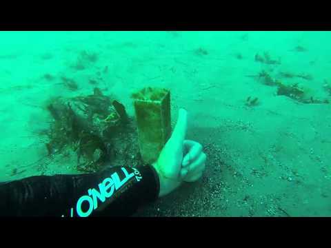 141128 Hendrys 3 col