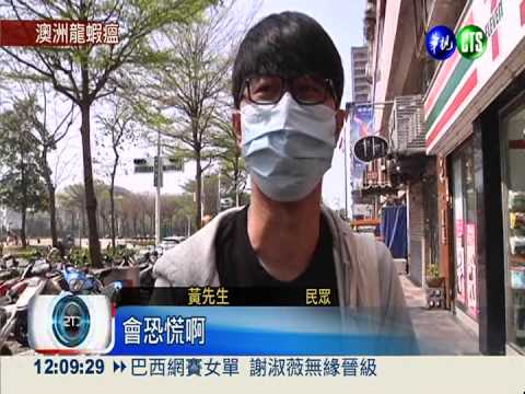 私養澳洲小龍蝦 傳爆發"蝦瘟"!