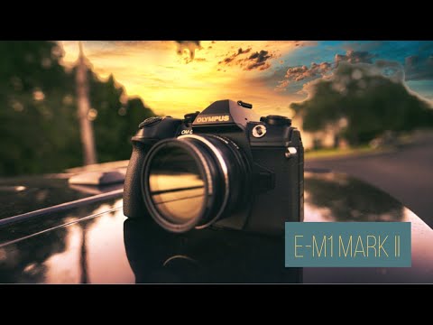 Olympus E-M1 Mark II in 2022
