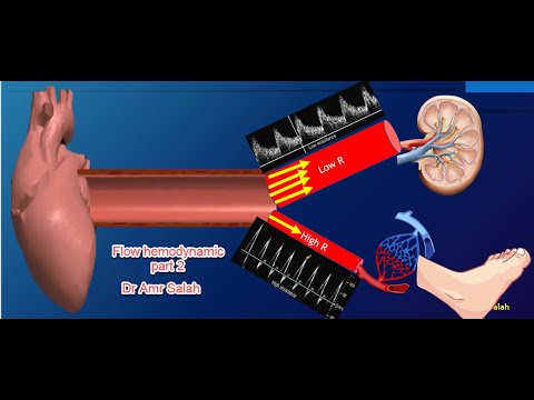 Flow hemodynamic part 2 , Doppler ultrasound course 2021 ( Dr Amr Salah)