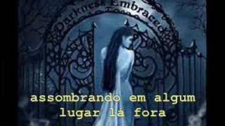 Evanescence Like You (com tradução)