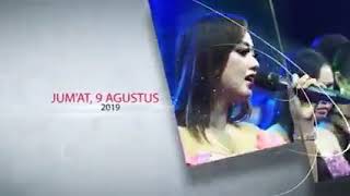 Download lagu New Pallapa Jangan nget ngetan viral masa nya.. mp3