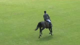 Video von Callisto