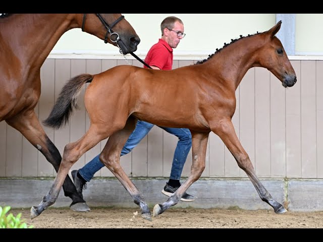 WINEFOLLY-K VAN KATTENHEYE