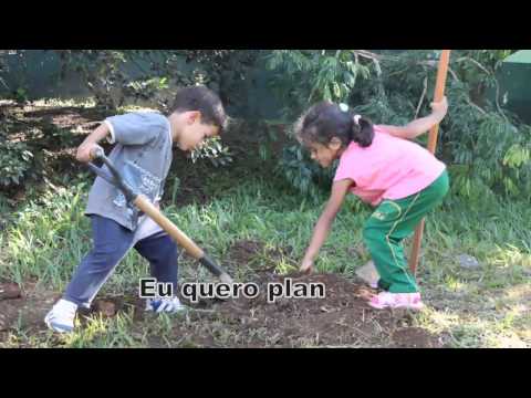CASA NO CAMPO - Elis Regina. Compositores: Zé Rodrix e Tavito.