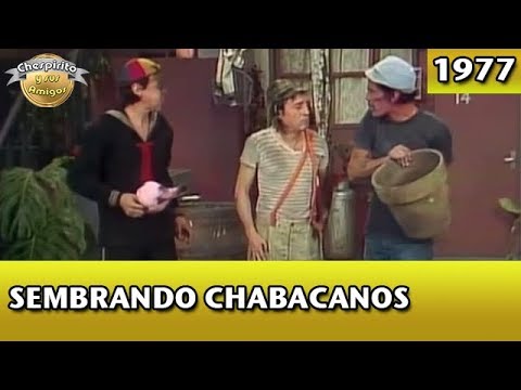 El Chavo | Sembrando chabacanos (Completo)