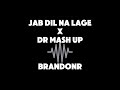 Jab Dil Na Lage Dildar X Dr Mash Up Remix BrandonR