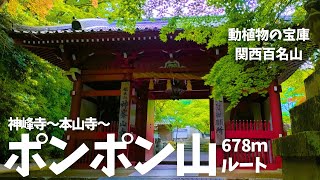 Mt. Ponpon [Takatsuki City] Climbing/Kinminezanji Temple - Honzanji Temple - Mt. Ponpon