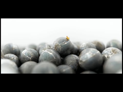 AEJJ - Adaptation (music: Crywolf, Roniit, AWAY - Parasite)