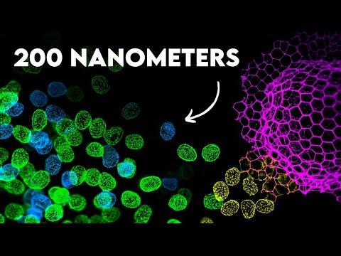 We Finally Know How Small Life Really Started