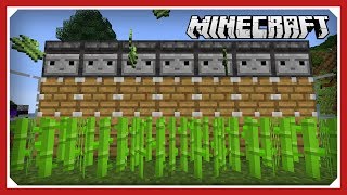 Minecraft automatic sugar cane farm videos Minecraft automatic sugar cane farm videos