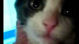 Steve Singing &#39;Altered State&#39; From Sepultura