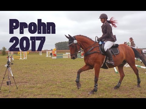 FMA | Turnierbericht | Opti in Prohn