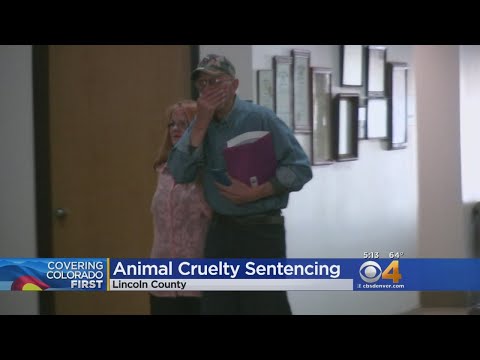 Woman Sentenced To 43 Days In Jail For Animal Cruelty