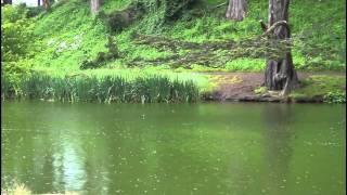 ♥ "P.S. I Love You" - instrumental