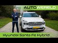 Hyundai Santa Fe Hybrid (2021) review met Allard Kalff | RTL Autowereld test