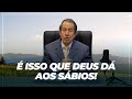Veja O Que Acontece Com Aquele Que Busca A Sabedoria