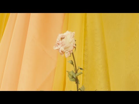 Window Dancer - Sunset Blues (Official Music Video)