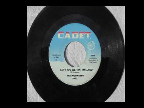 Wildweeds - 04 Can't You See That I'm Lonely