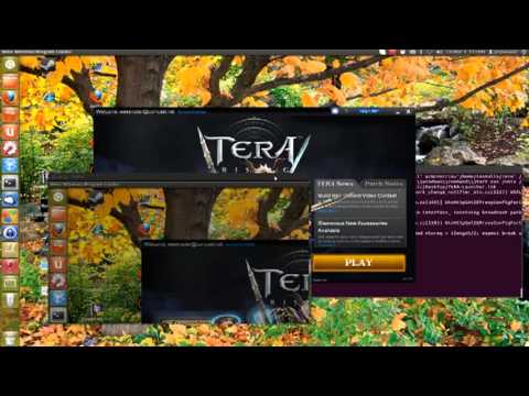 comment installer tera