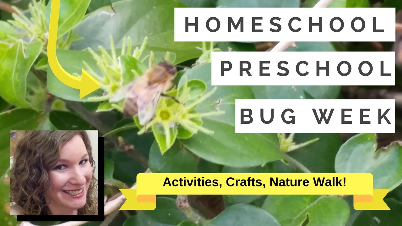🌿 Homeschool Update || Insect Activities & Books