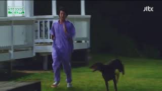 Download lagu Jin playing with dog - BTS IN THE SOOP Season 2 #bts #btsinthesoop mp3 Download lagu Jin playing with dog - BTS IN THE SOOP Season 2 #bts #btsinthesoop mp3