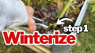 Overwintering Raised Beds: Healthier Soil & Fewer Weeds by Spring